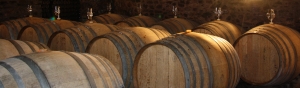 Photo Anjou wine route