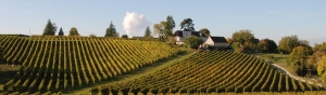 Photo Loire Valley Wine Route